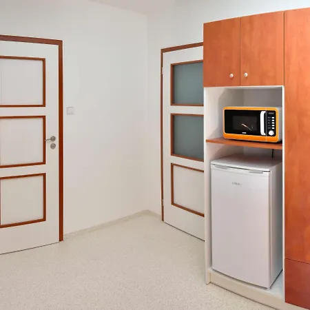 ゲストハウス Pod Vezi 3*