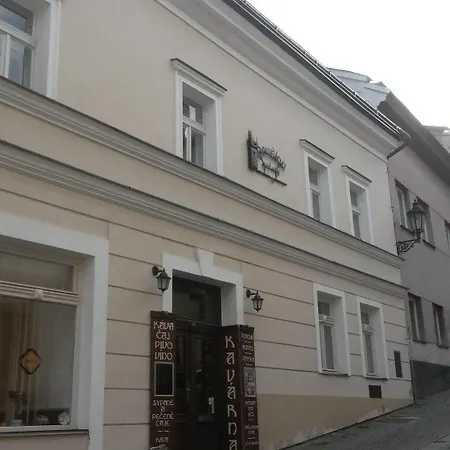 게스트하우스 Pod Vezi Kolín