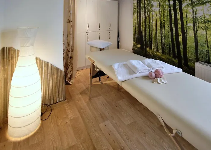 Guest house Pod Vezi 3*